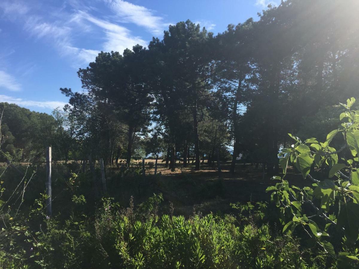 Residenza Gherly Capo Vaticano Εξωτερικό φωτογραφία