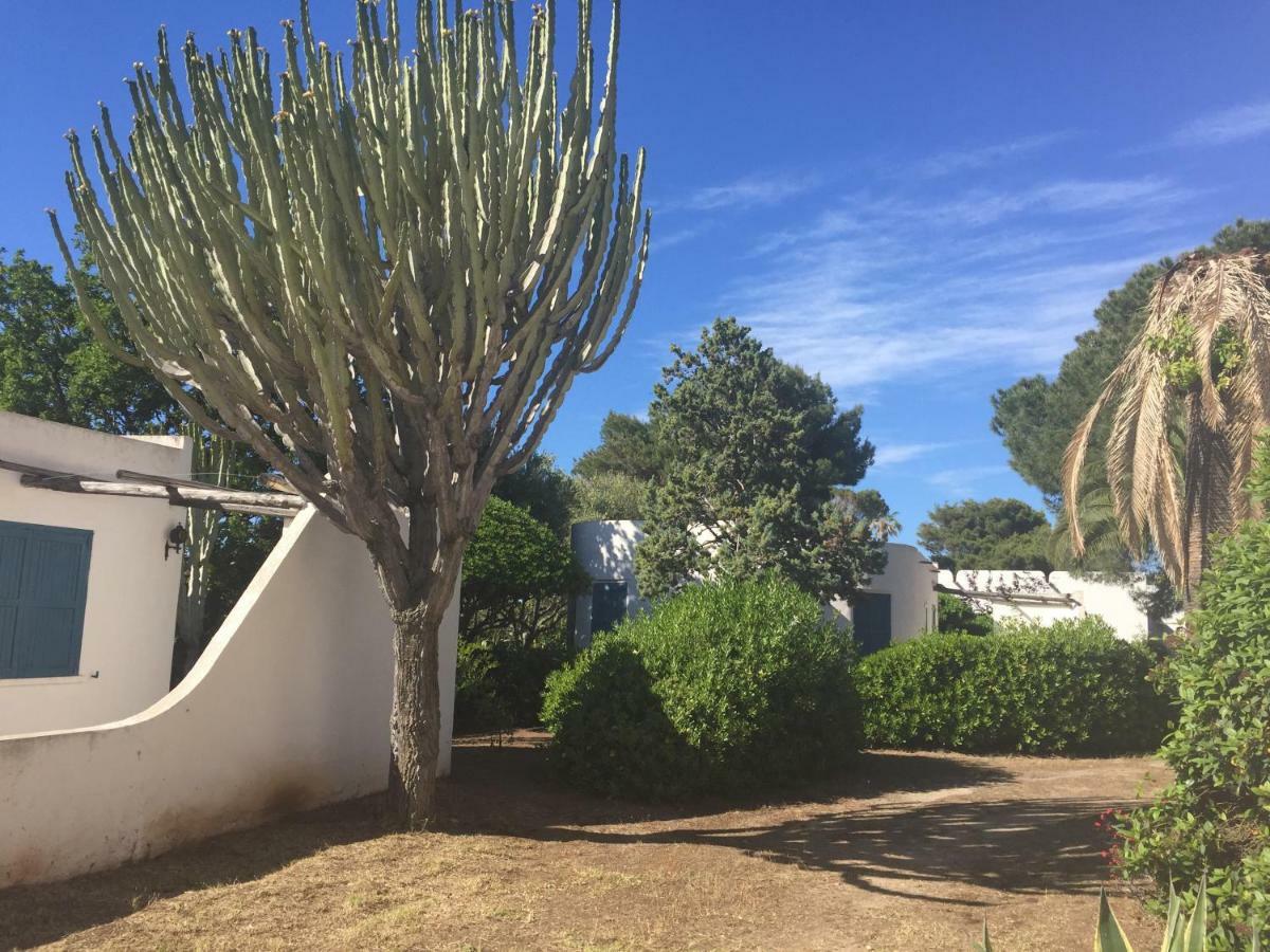 Residenza Gherly Capo Vaticano Εξωτερικό φωτογραφία