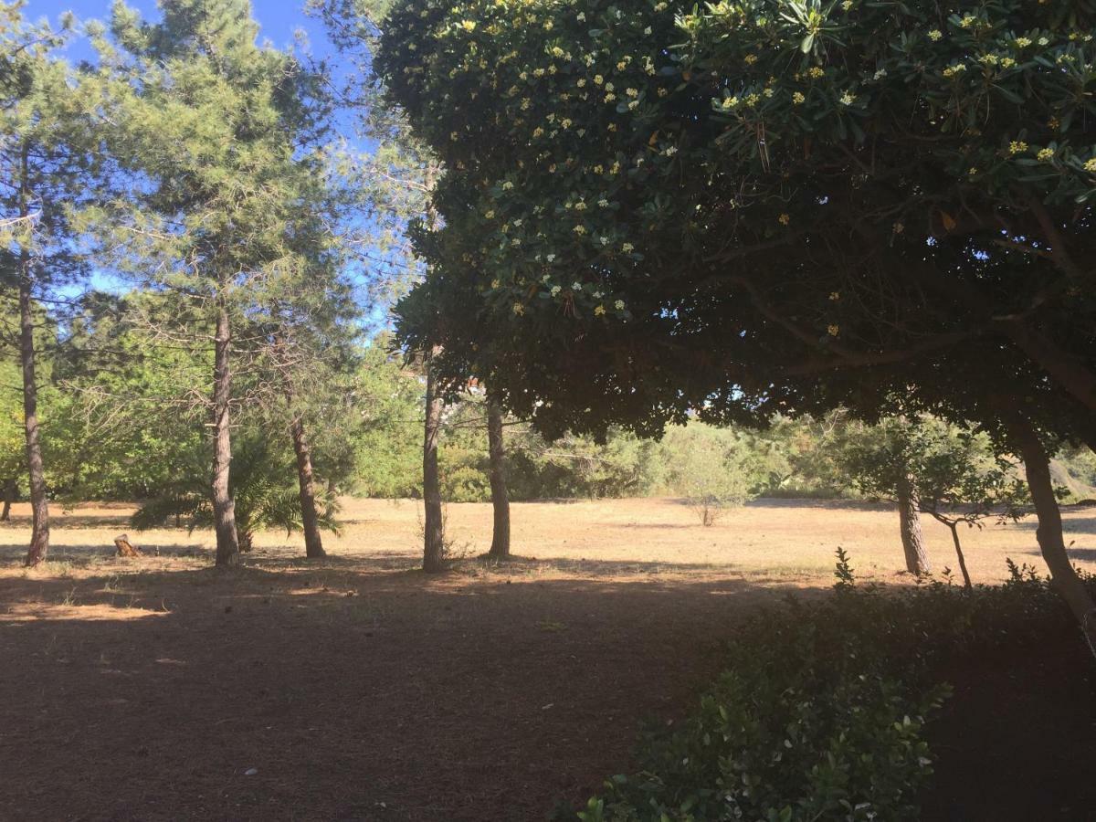 Residenza Gherly Capo Vaticano Εξωτερικό φωτογραφία